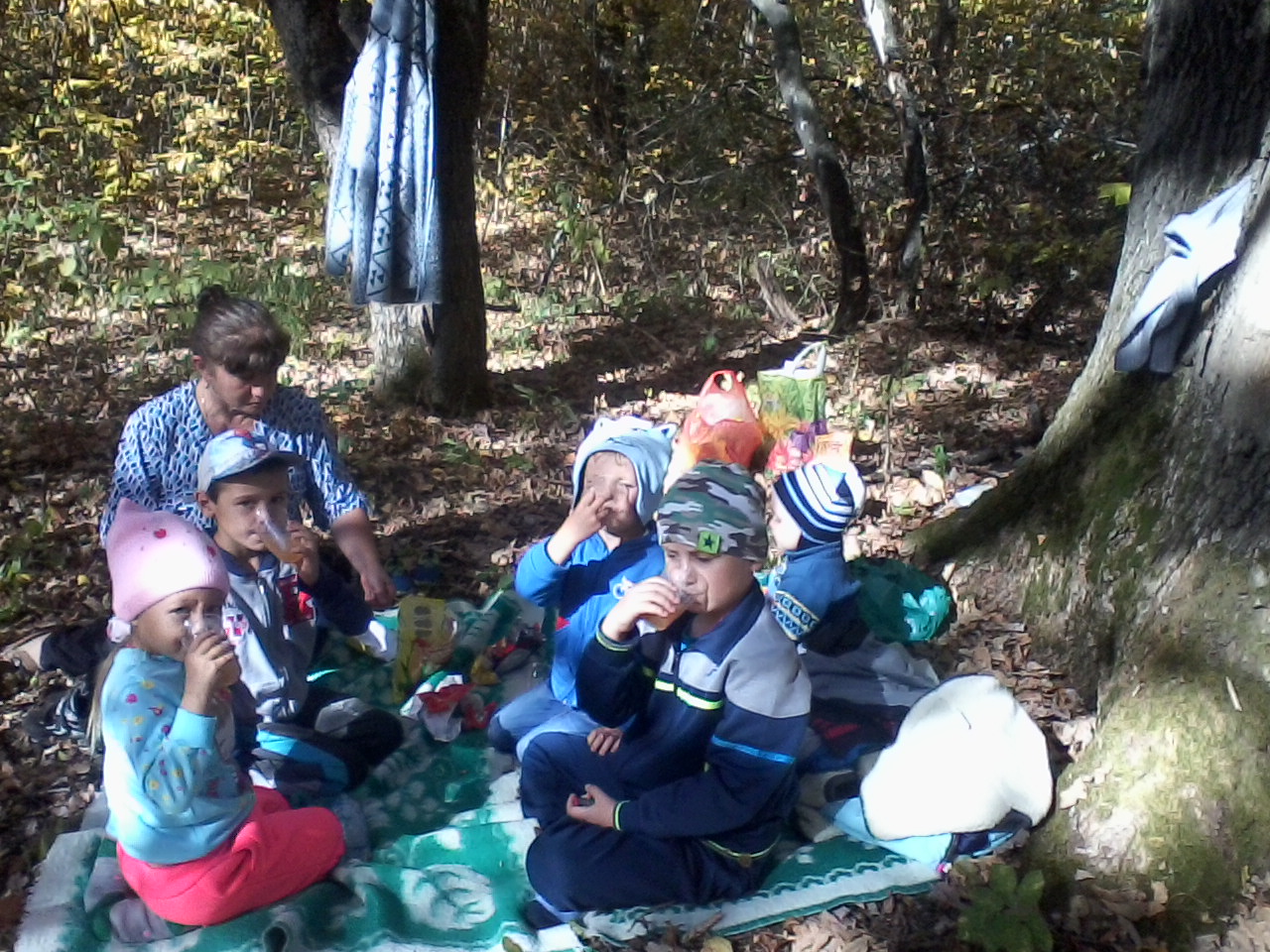 Дети на пикнике в лесу