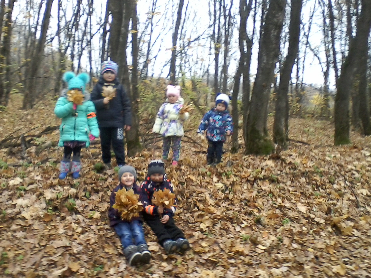 В лес к осени дети отправились